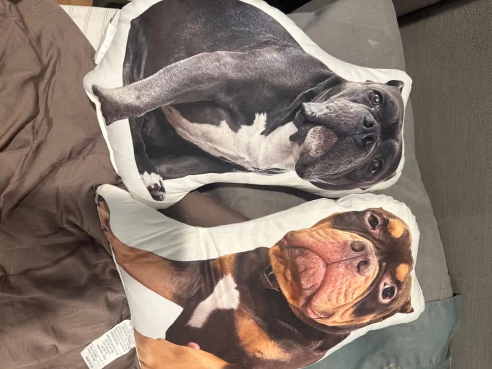 Customer photo review of Custom Photo Pillow for College & Back to School – Personalized Shaped Hug Pillow