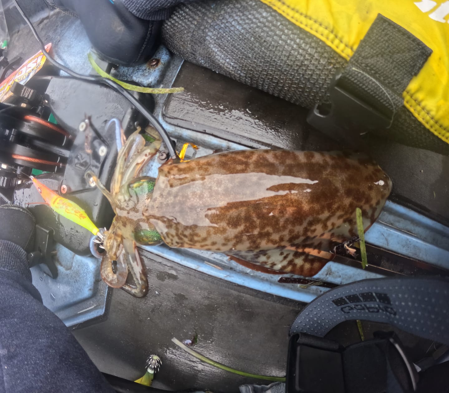 Customer photo review of Yellow Banana Squid Jigs
