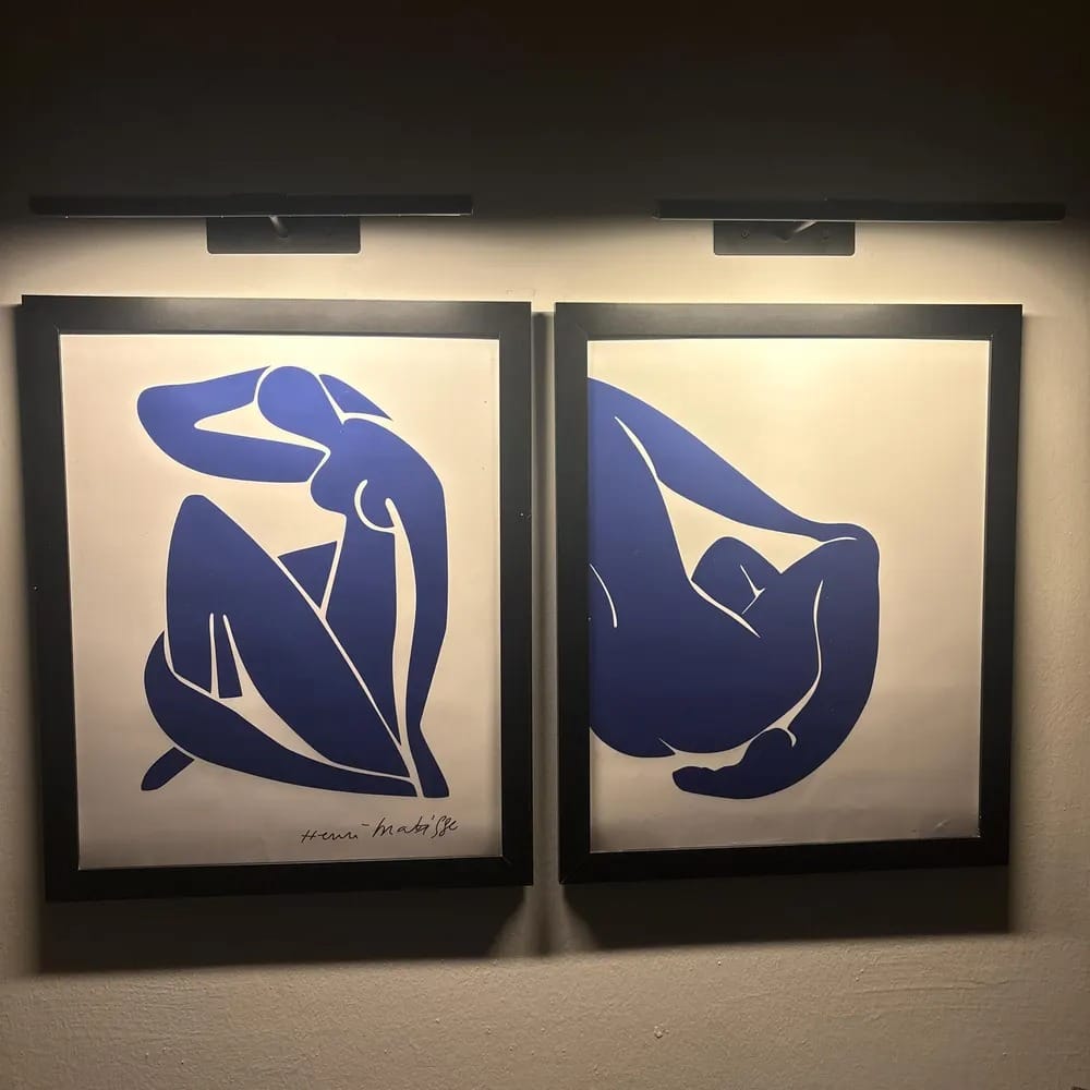 Customer photo review of Blue Muse By Henri Matisse