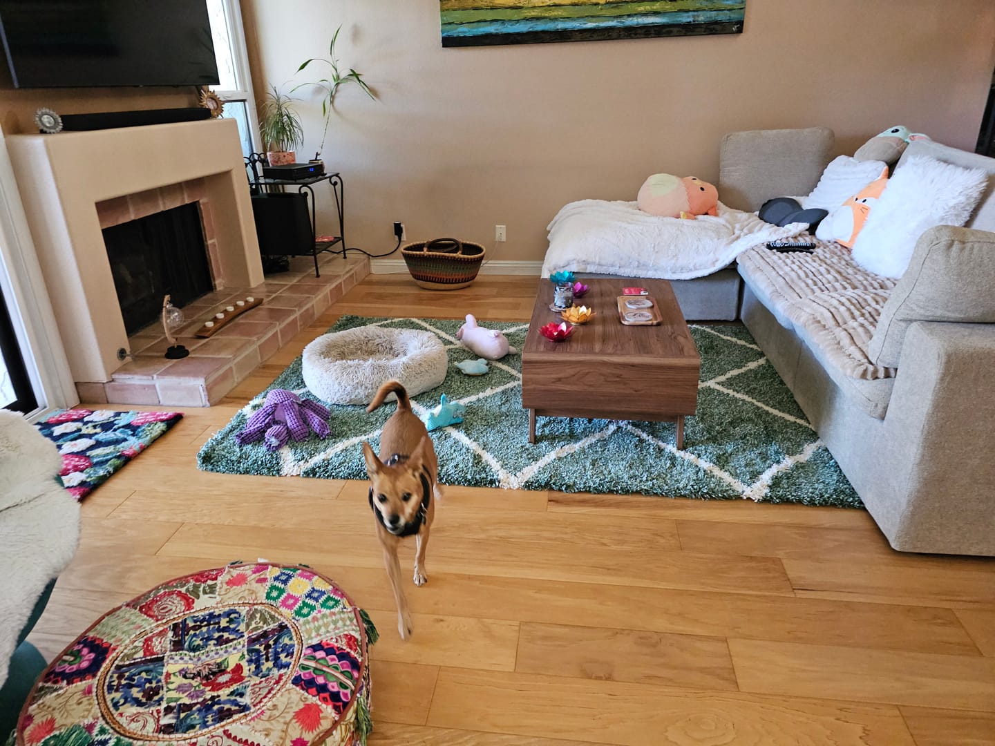 Customer photo review of Classic Modular 3-Seater Sectional in Khaki