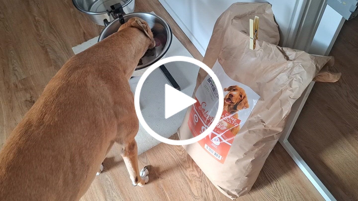 Customer video review of Linea Grain Free - Salmone con Trota, Patate Dolci e Asparagi - Cane Adulto