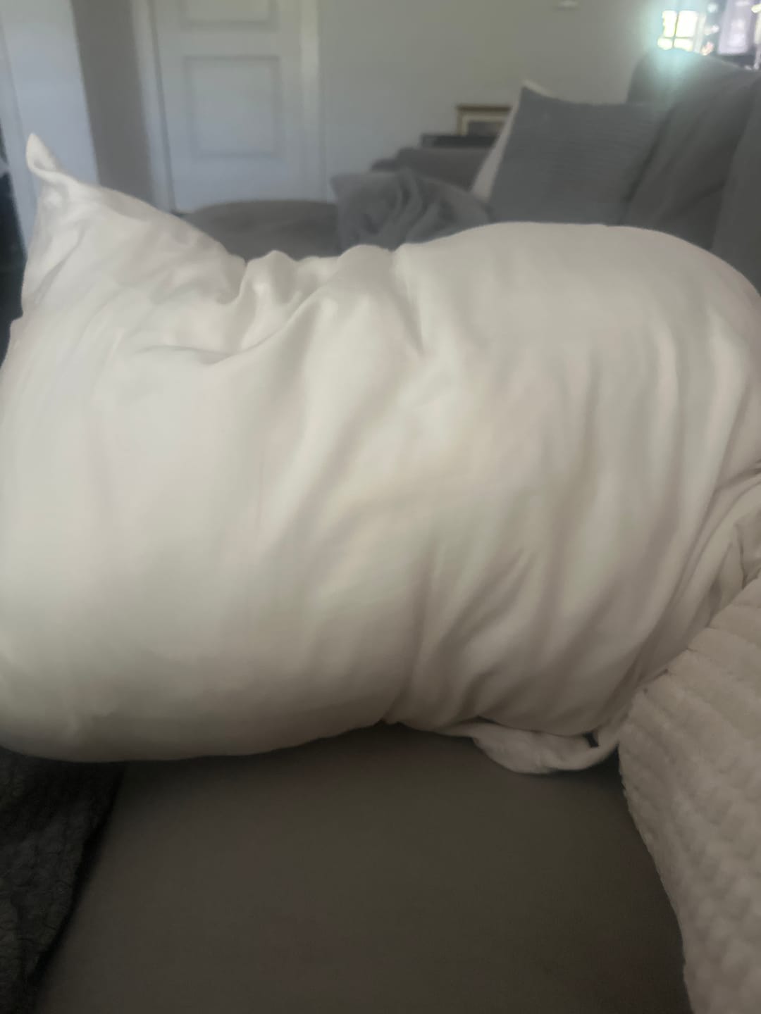 Customer photo review of Ploof Pillow