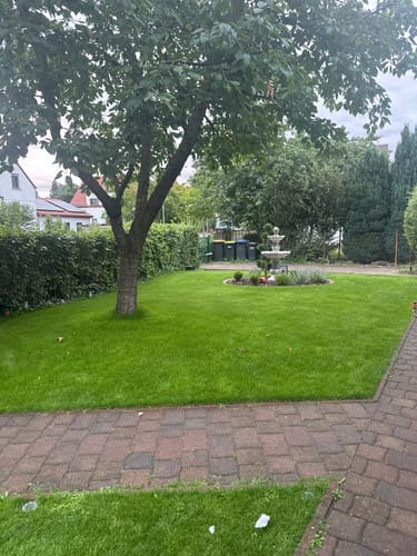 Kundenfoto des saftig grünen Rasens nach der Anwendung von RASENBLITZ™ Sommerdünger in einem sonnigen Garten.