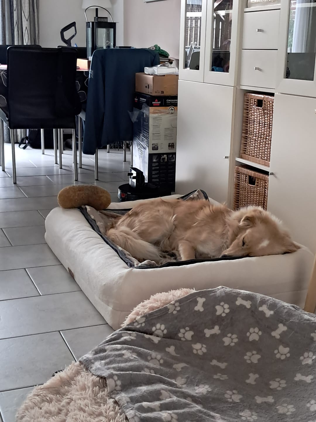 Customer photo review of Pet Perfect Orthopedische Hondenmand - Model 2