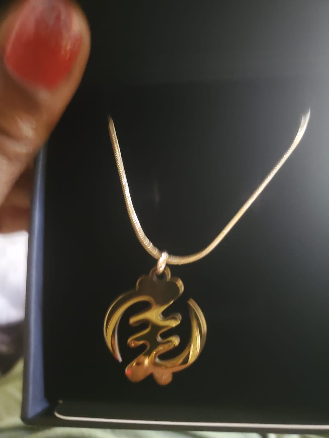 Customer photo review of Gye Nyame — Divine Necklace