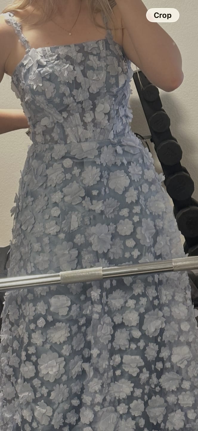 Customer photo review of Floral Appliqué Maxi Dress With Corset Bodice - Blue