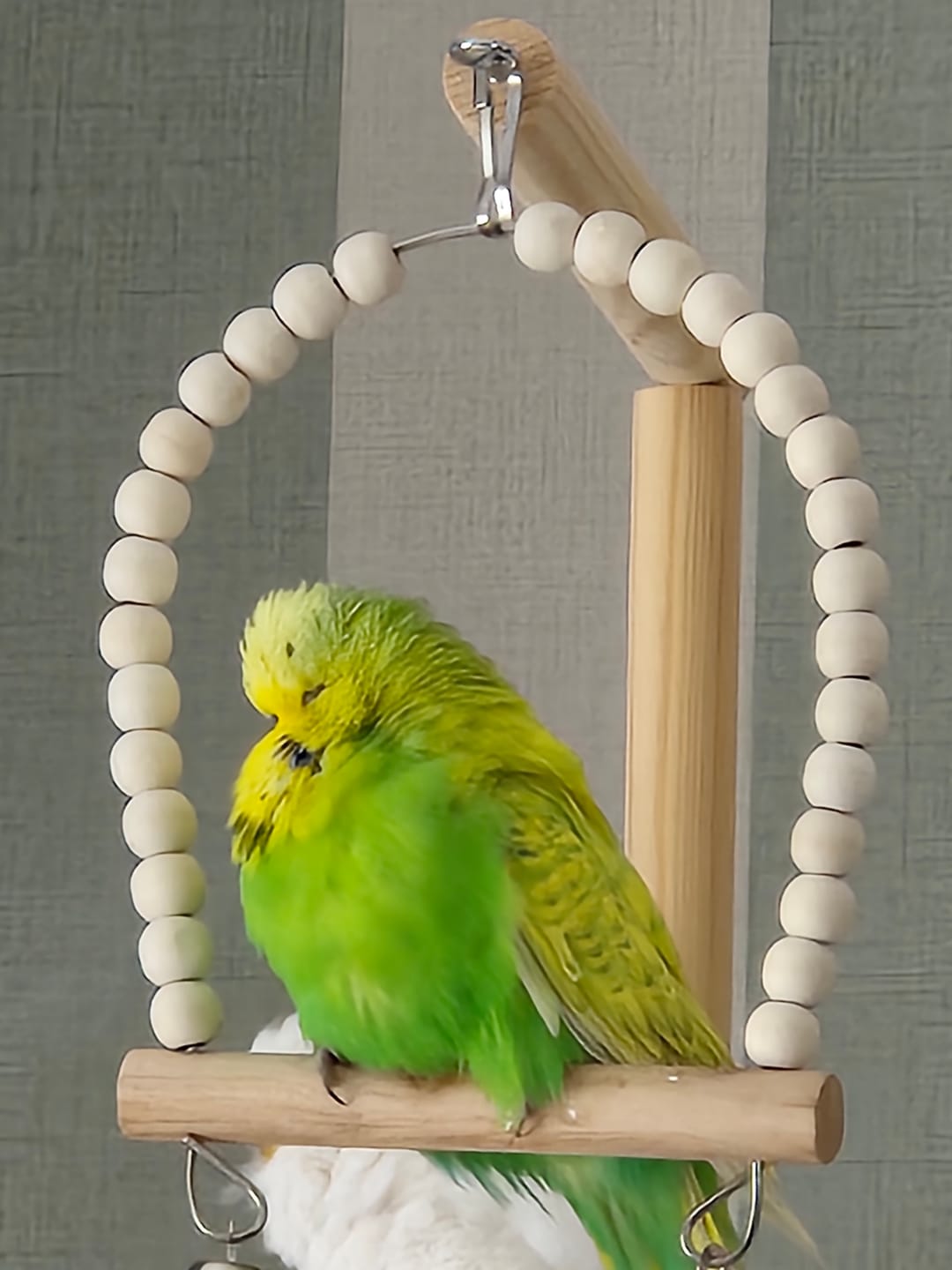 Customer photo review of Budgie Dumpling Comfort Colors® Tee