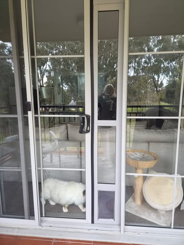 Customer photo review of Patio Pet Door Insert