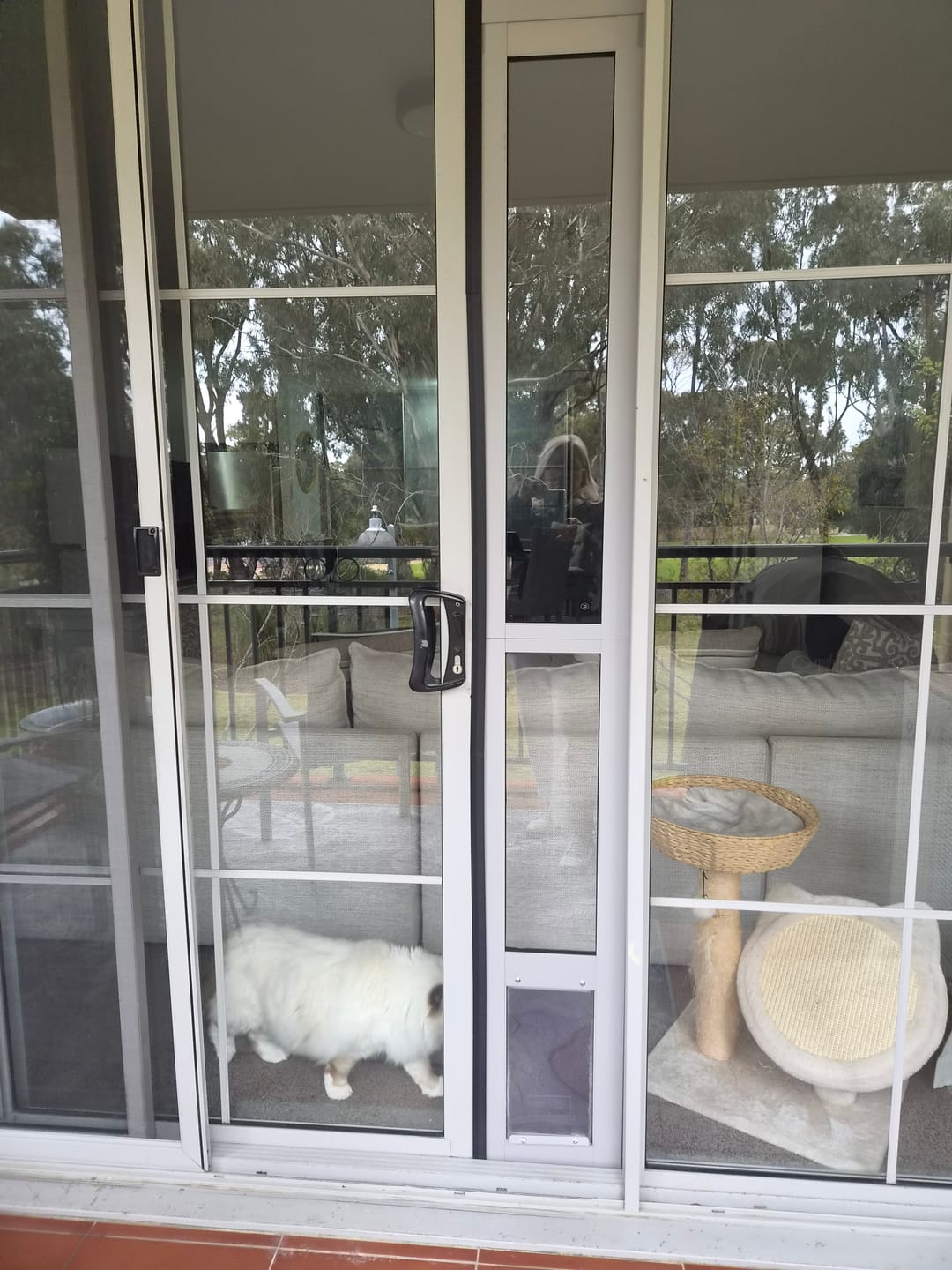 Customer photo review of Patio Pet Door Insert