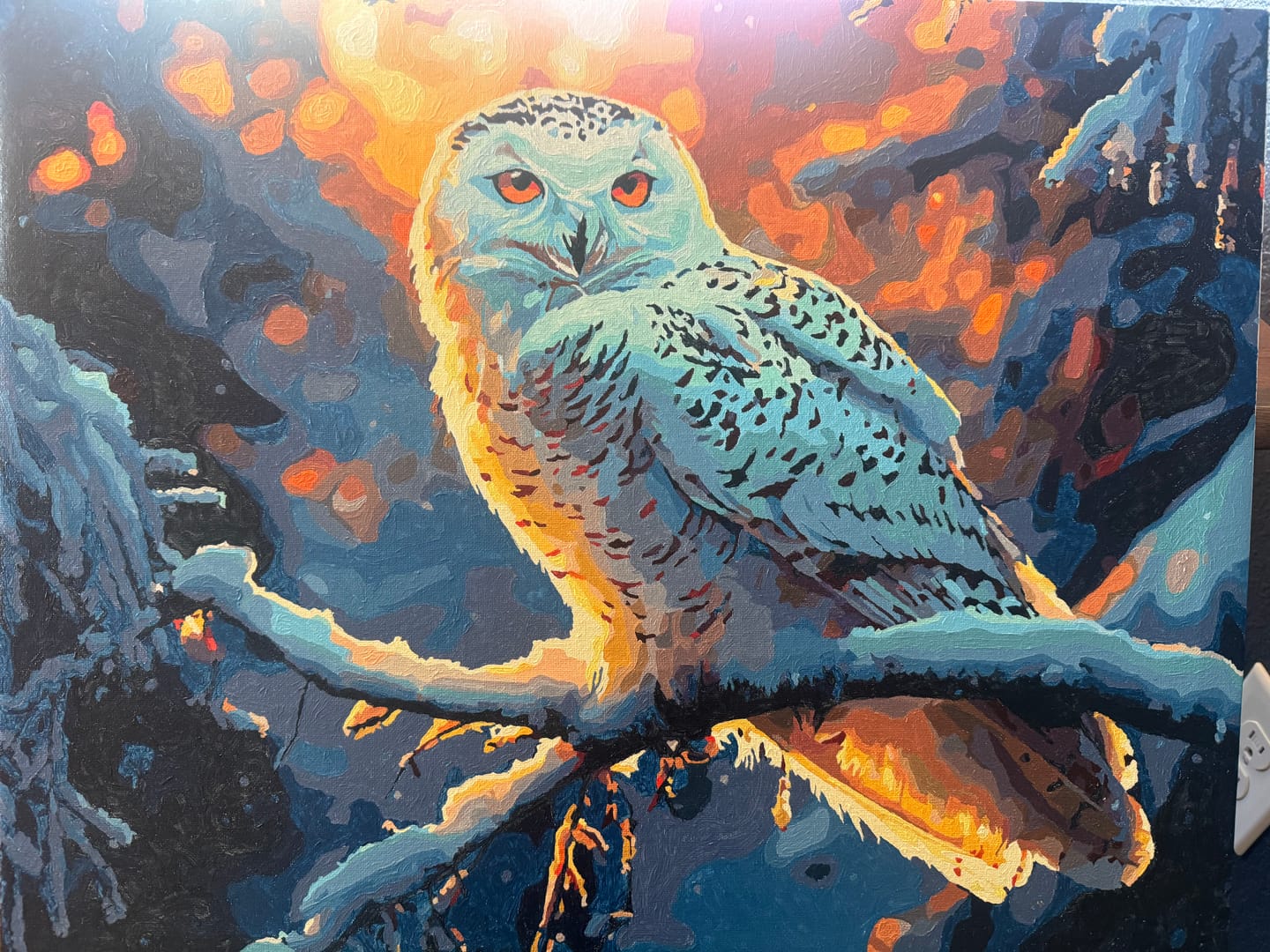 Customer photo review of Wintry Watchful