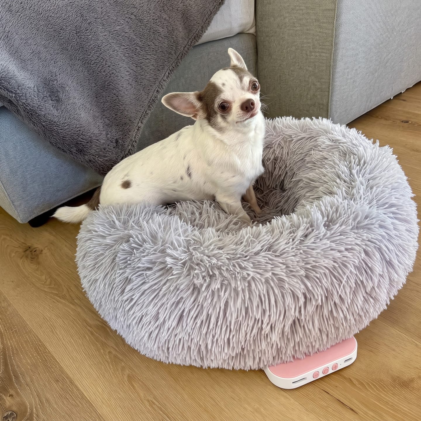Customer photo review of PawSpa® Calmy™ — Sonidos de Relajación para Mascotas