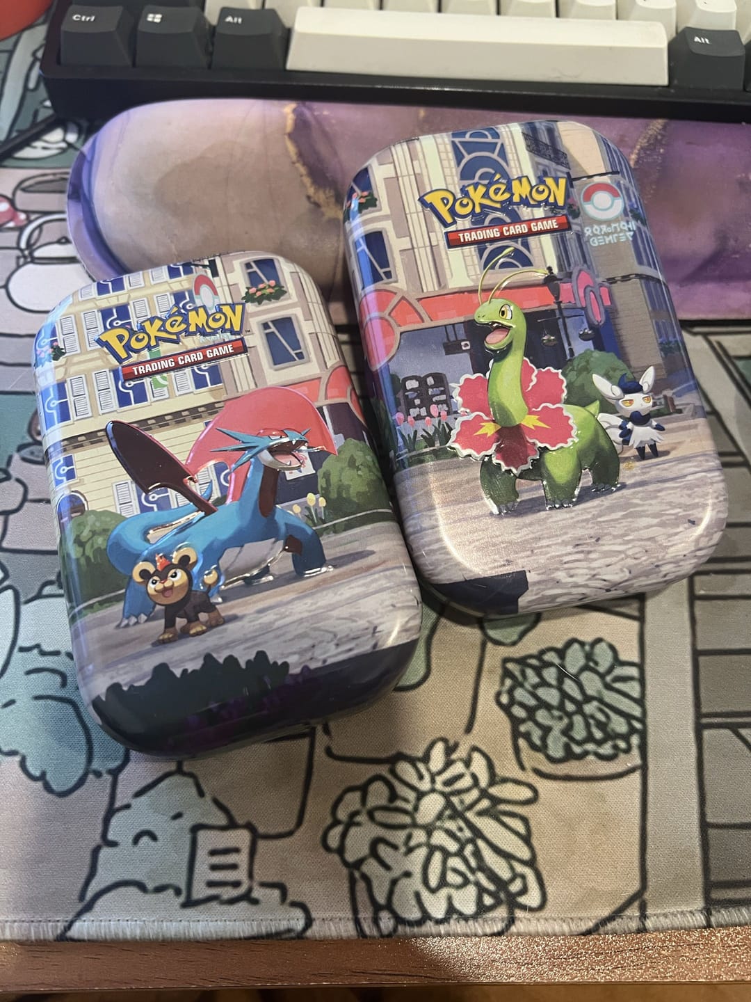 Customer photo review of Lumiose City Mini Tin (styles may vary)