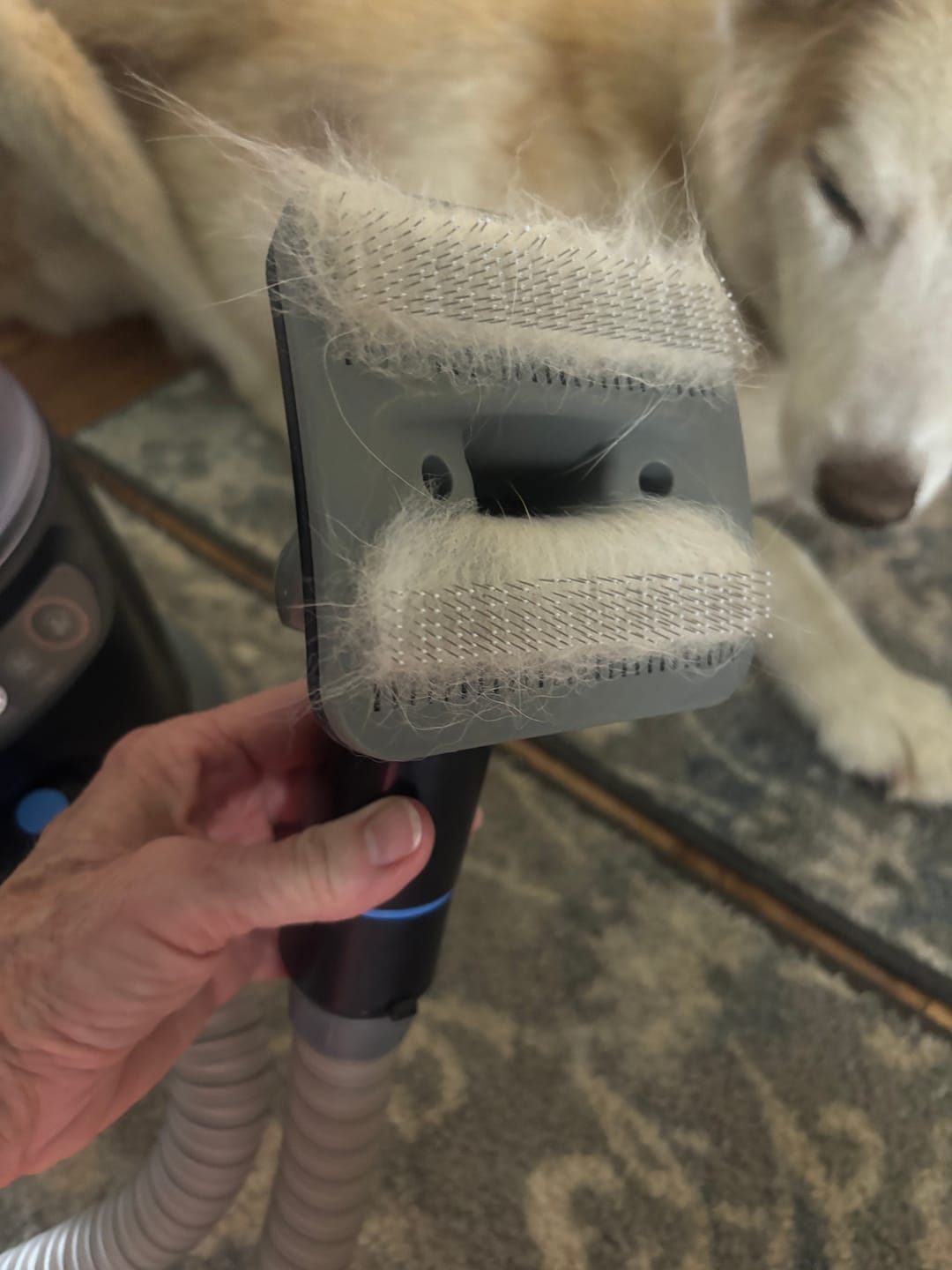 Customer photo review of ULTRA Pet Grooming Vacuum Kit