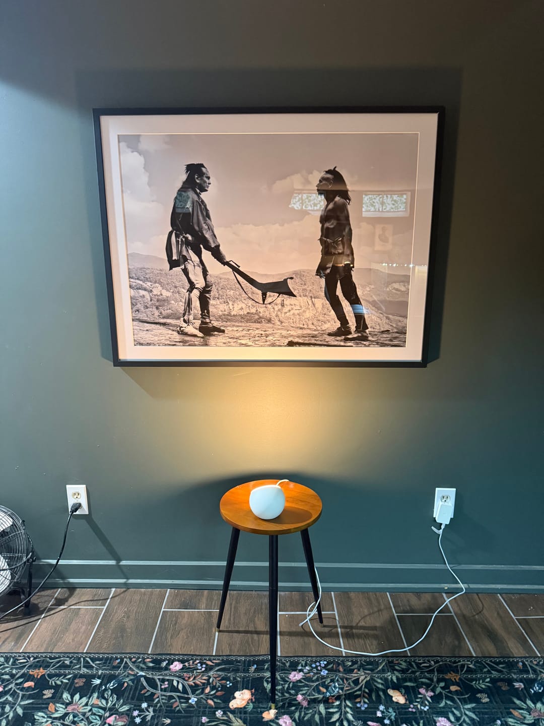 Customer photo review of Last of the Mohicans Wall Art