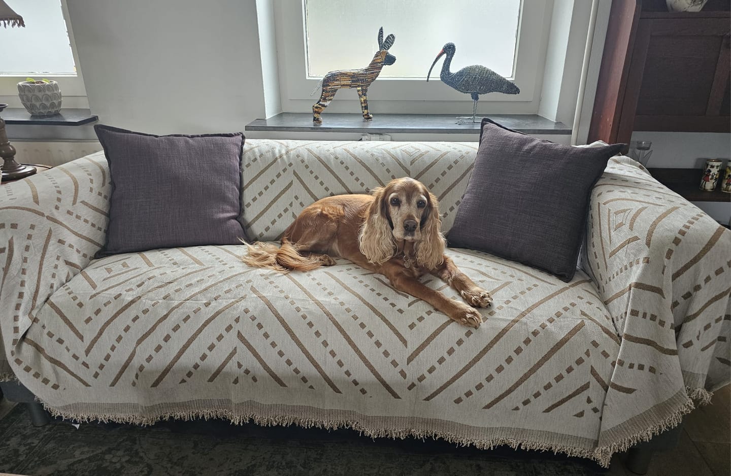 Customer photo review of Pet Couch Cover - Inca Beige