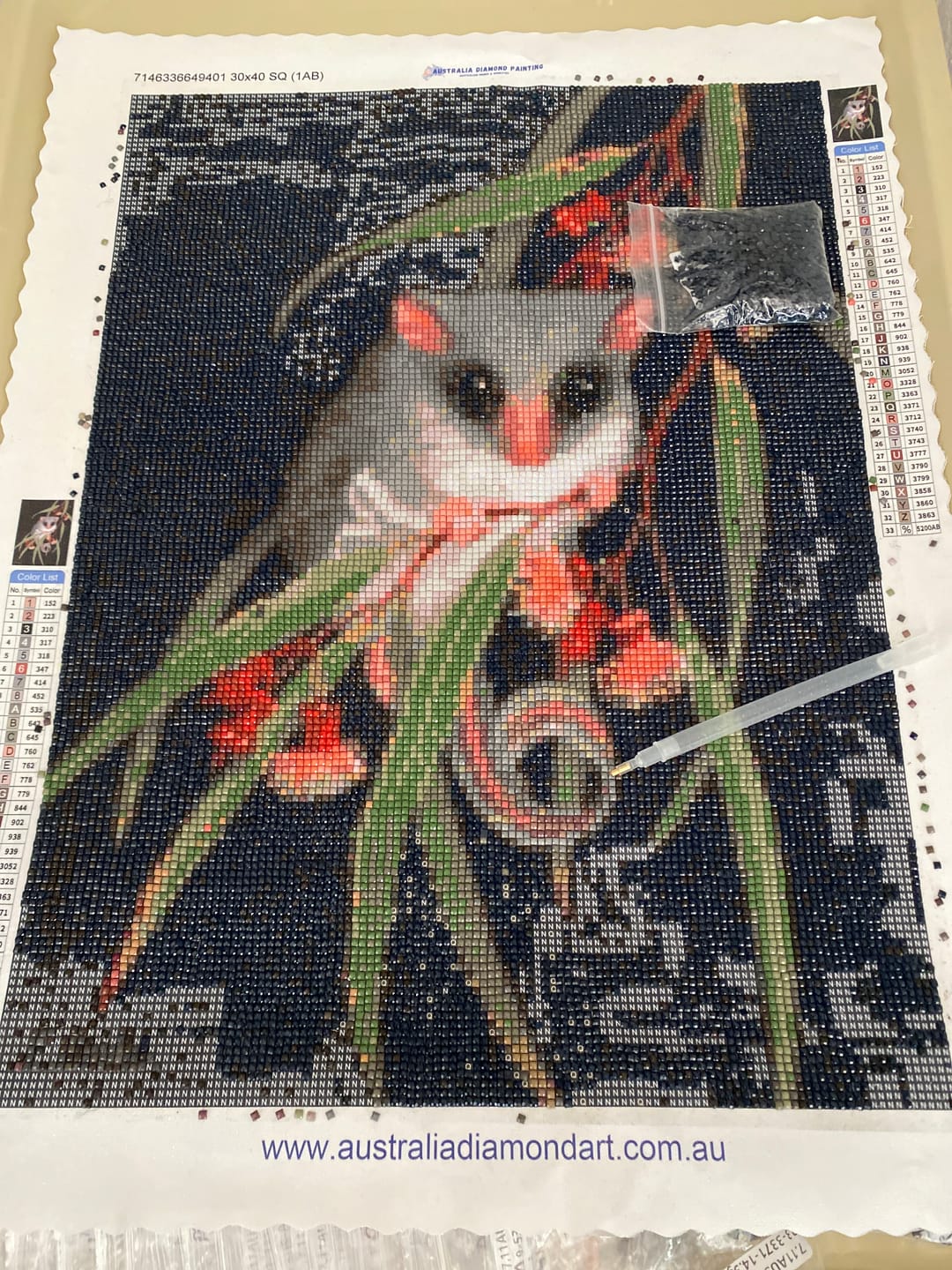 Customer photo review of Feathertail Glider & Coral Gum - Full Drill Diamond Painting Kit