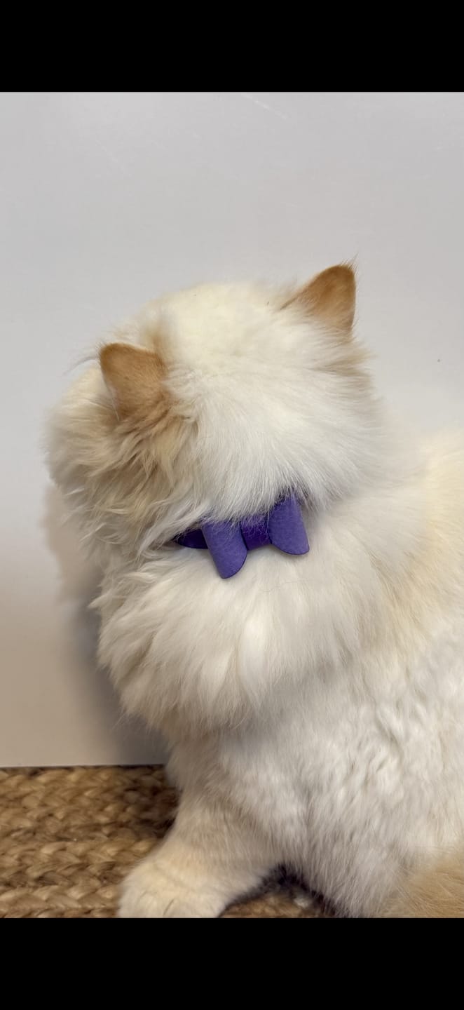 Customer photo review of Handmade Leather Bowtie