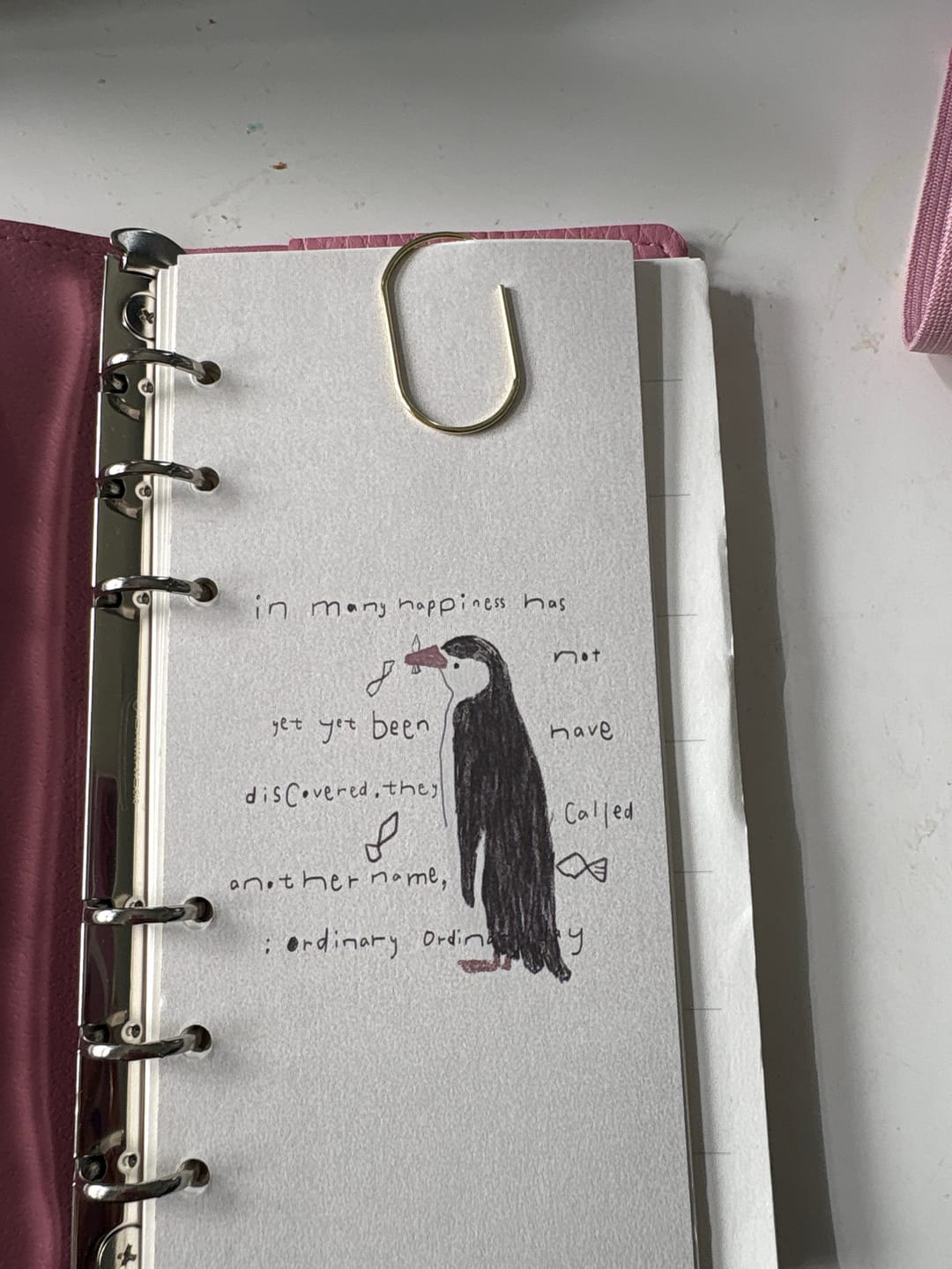 Customer photo review of Planner Refills