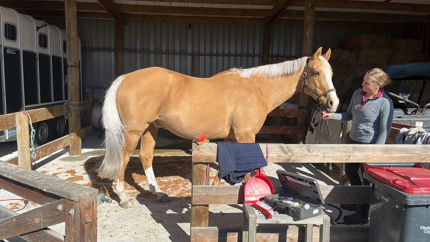 Customer photo review of Digestive EQ