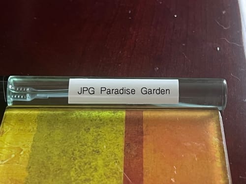 Customer photo review of Jean Paul Gaultier Le Beau Paradise Garden