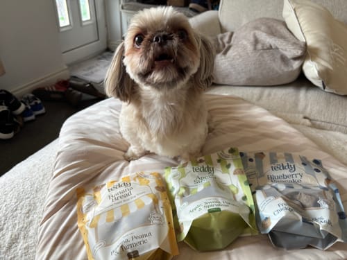 Customer's small fluffy dog looking up while sitting next to three bags of Banana Bread Teddy Bear Soft Treats