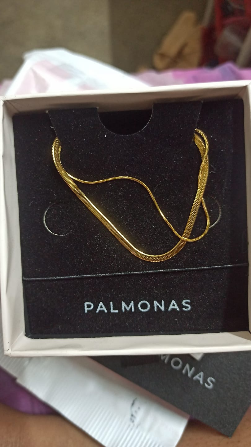 Customer photo review of Plain Chain Two Layer Necklace