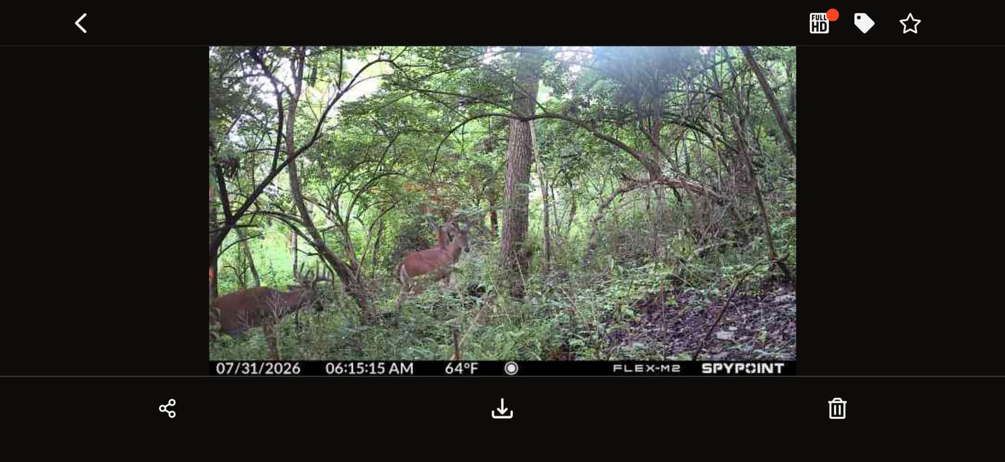 Customer photo review of Recharge™ Deer Mineral