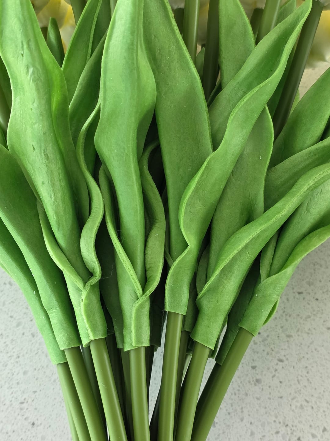 Customer photo review of Tulpen Boeket - Wit (25 stengels)