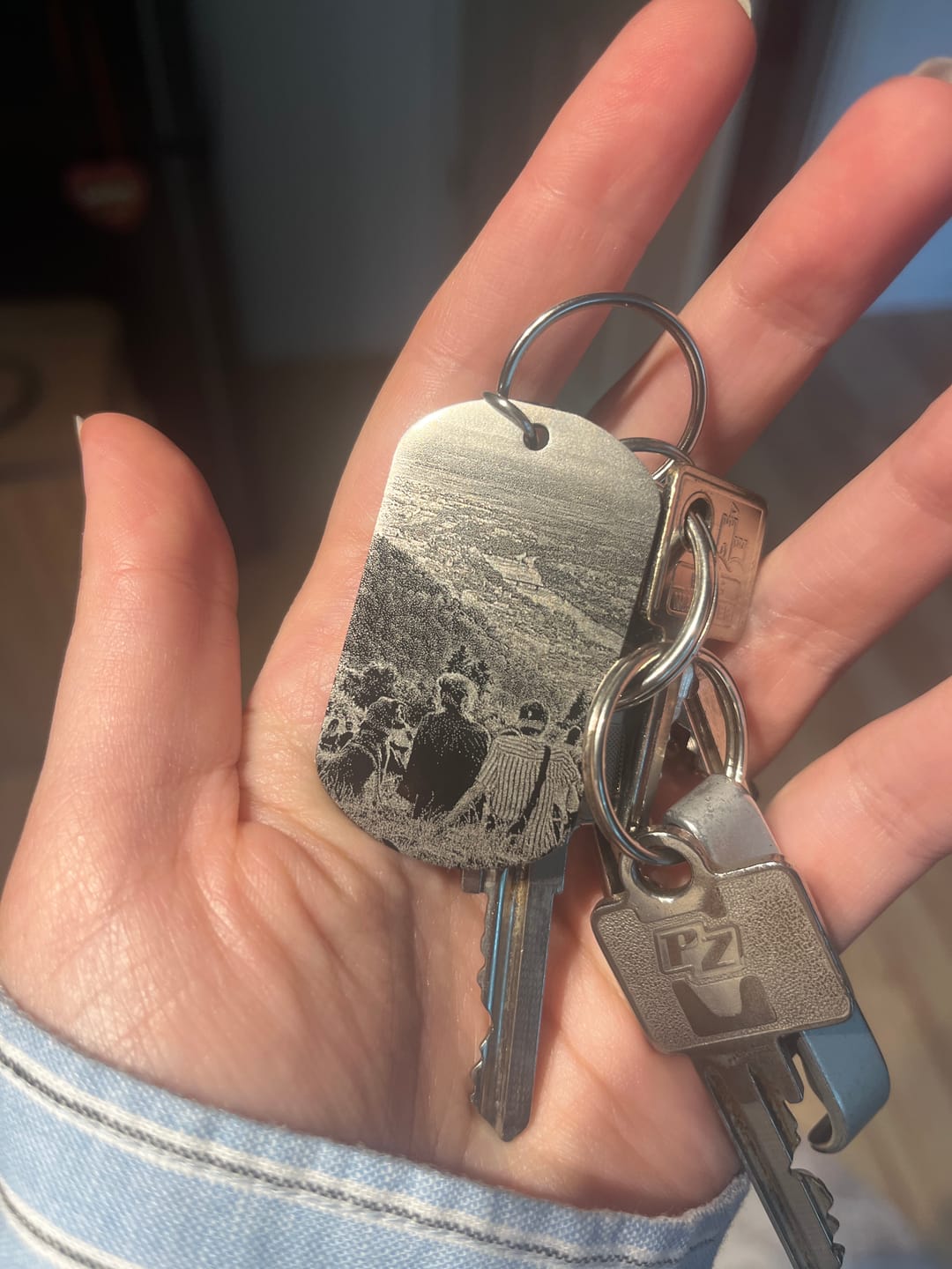 Customer photo review of Profi-Datencheck