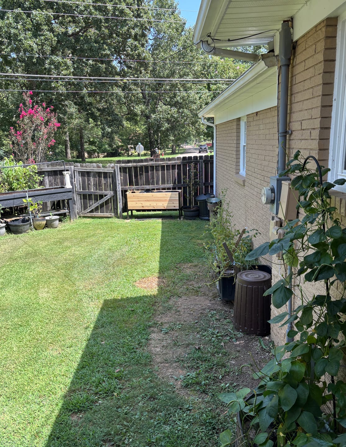 Customer photo review of 18″ x 60″ Deep Root Raised Garden Bed - 30″ TALL / Garden Grade
