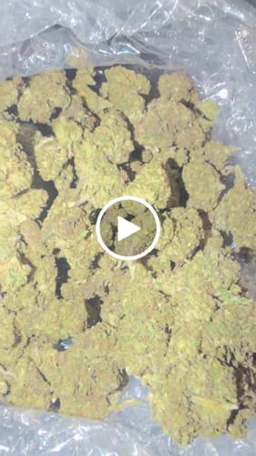 Truffle - Bulk - Indica photo review