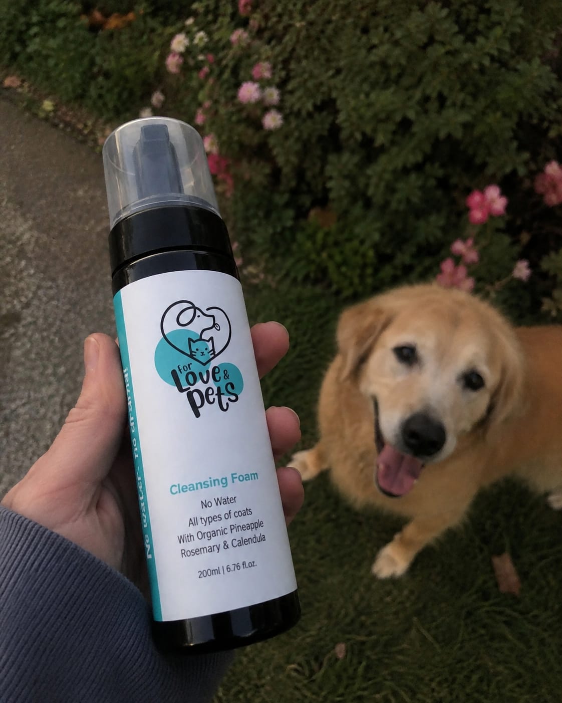 Customer photo review of Αφρός Καθαρισμού Χωρίς Νερό για Σκύλους & Γάτες - Καθαρό Τρίχωμα Χωρίς Μπάνιο
