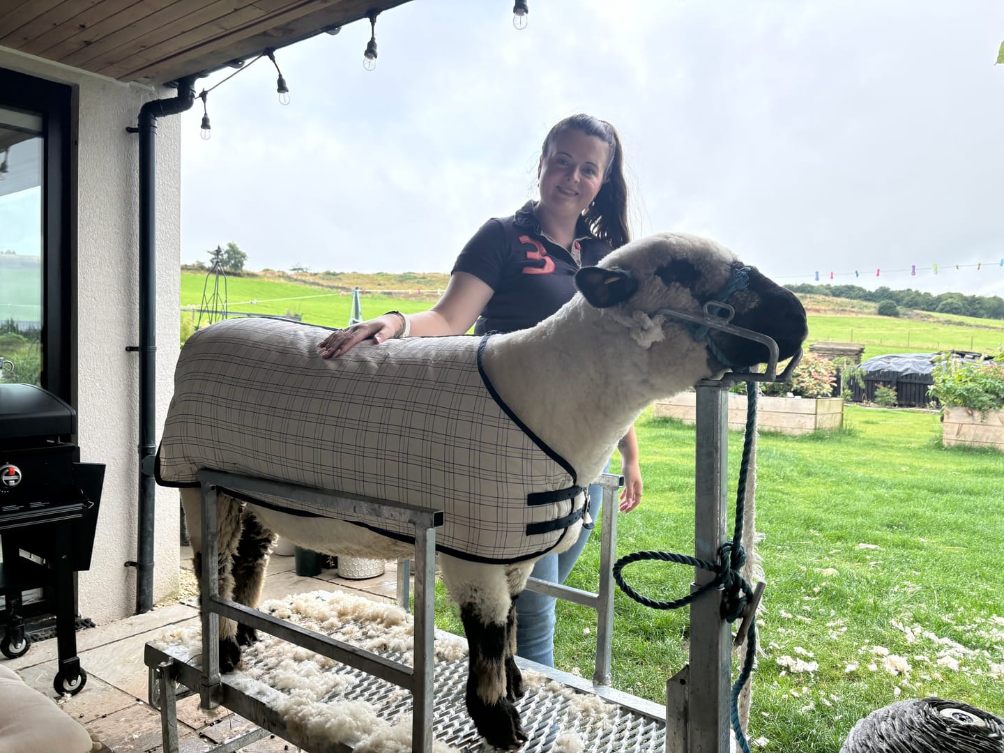 Customer photo review of Travel & Show Sheep Coat