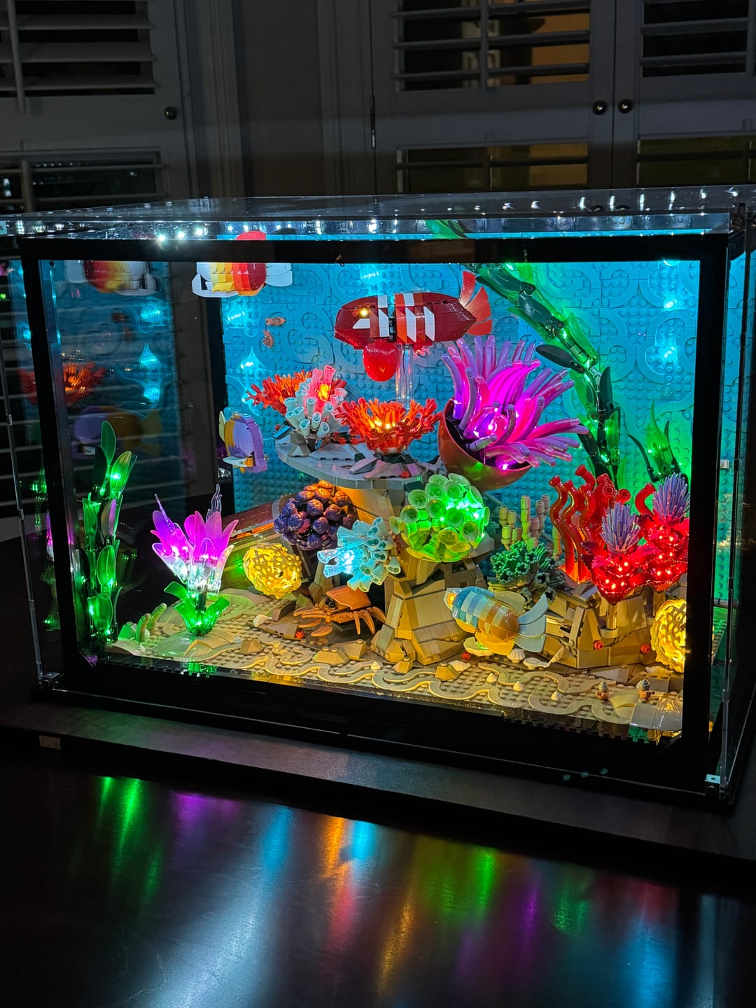 Customer photo review of Display Case for LEGO® 10366 Icons Tropical Aquarium