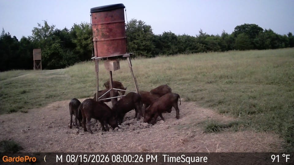Customer photo review of GardePro X66 Pro Cellular Trail Camera