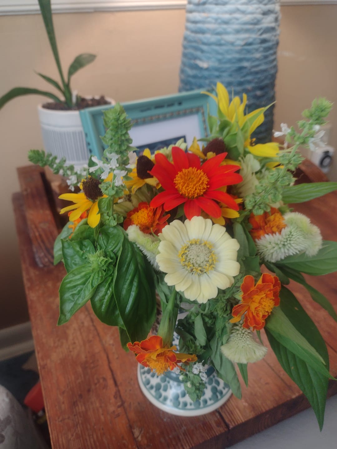 Customer photo review of Celosia, Cockscomb, Cramer's Mix