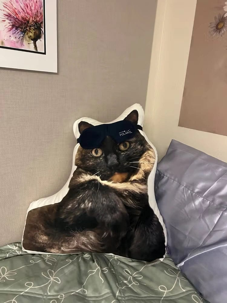 Customer photo review of Custom Photo Pillow for College & Back to School – Personalized Shaped Hug Pillow