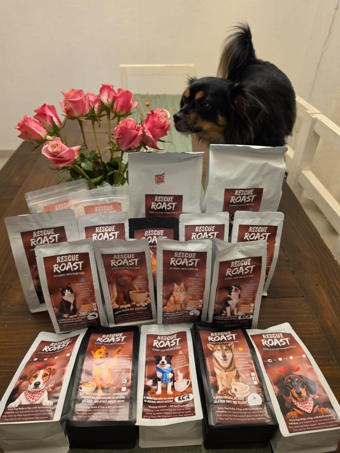 Customer photo review of Hot Chocolate - Border Collie Rescue