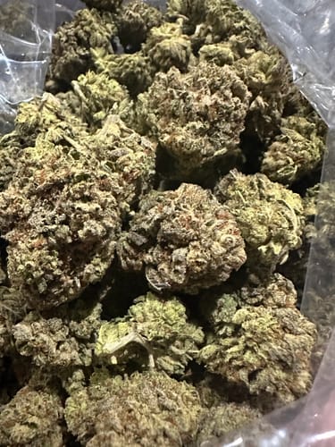 Truffle - Bulk - Indica photo review