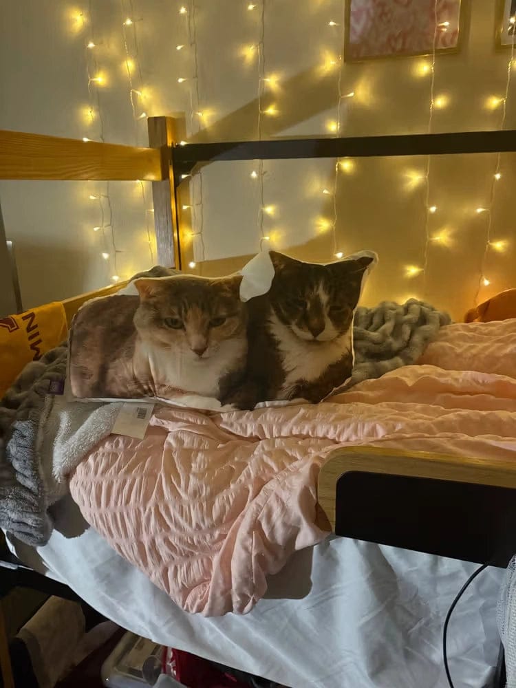 Customer photo review of Custom Photo Pillow for College & Back to School – Personalized Shaped Hug Pillow