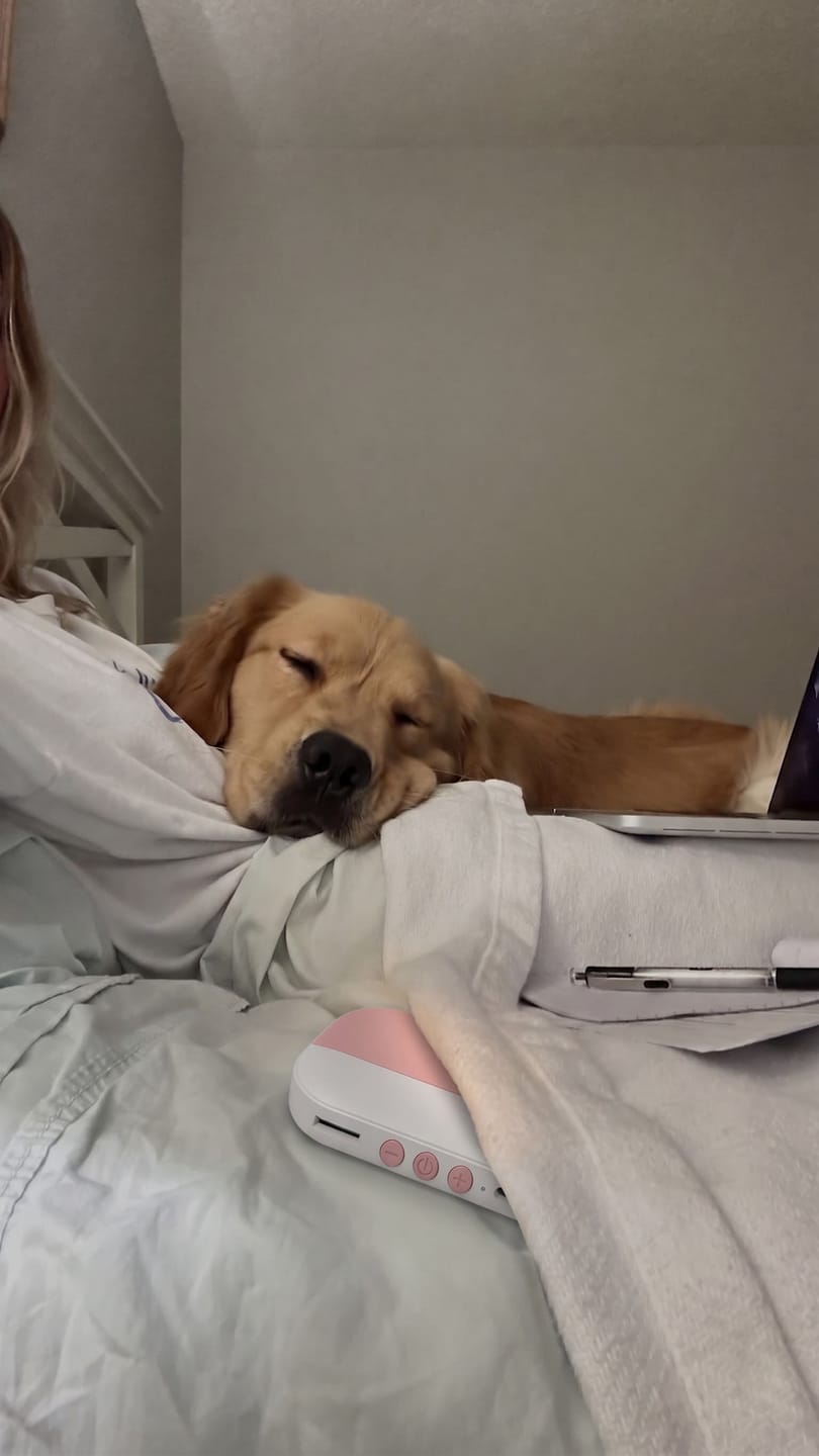 Customer photo review of PawSpa® Calmy™ — Sonidos de Relajación para Mascotas