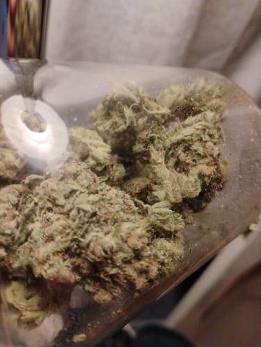 Customer photo review of Pink Dirt THCA Flower