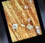 Customer photo review of HD子どもスコープ