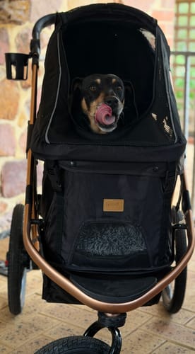 Customer photo review of Sports Large Pet Stroller