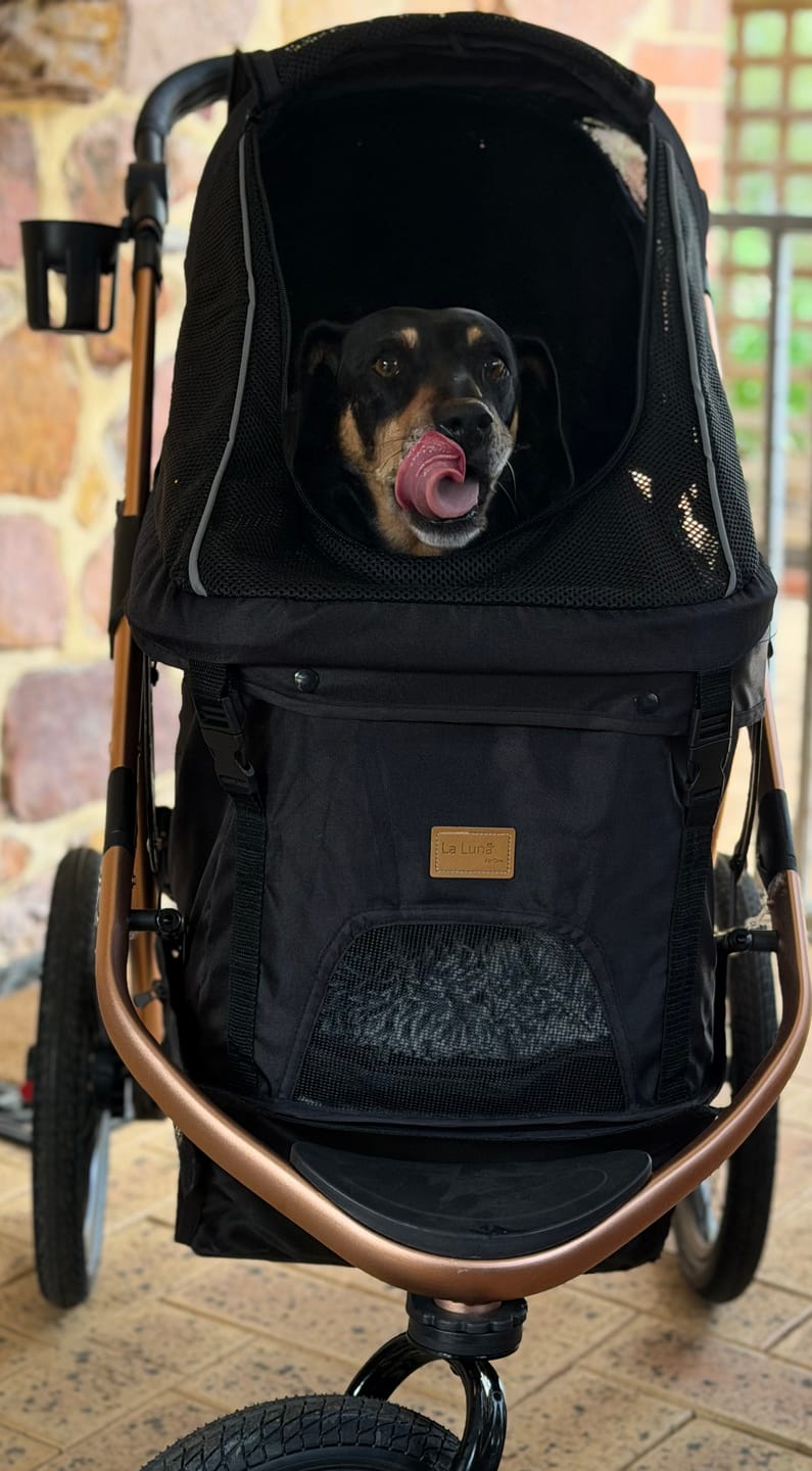 Customer photo review of Sports Large Pet Stroller