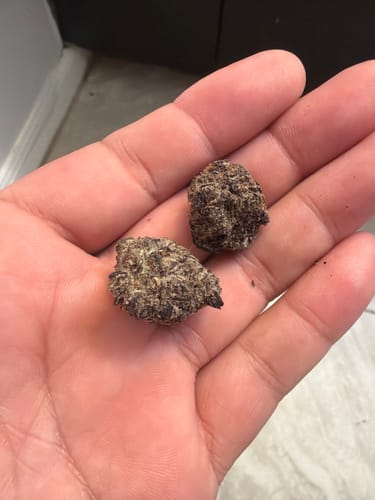 Blueberry Syrup - Bulk - Indica photo review