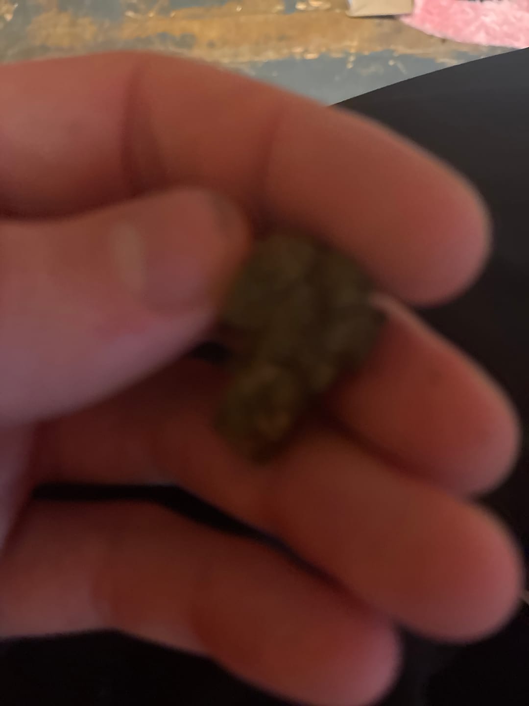 Customer photo review of Double Runtz - Greenhouse