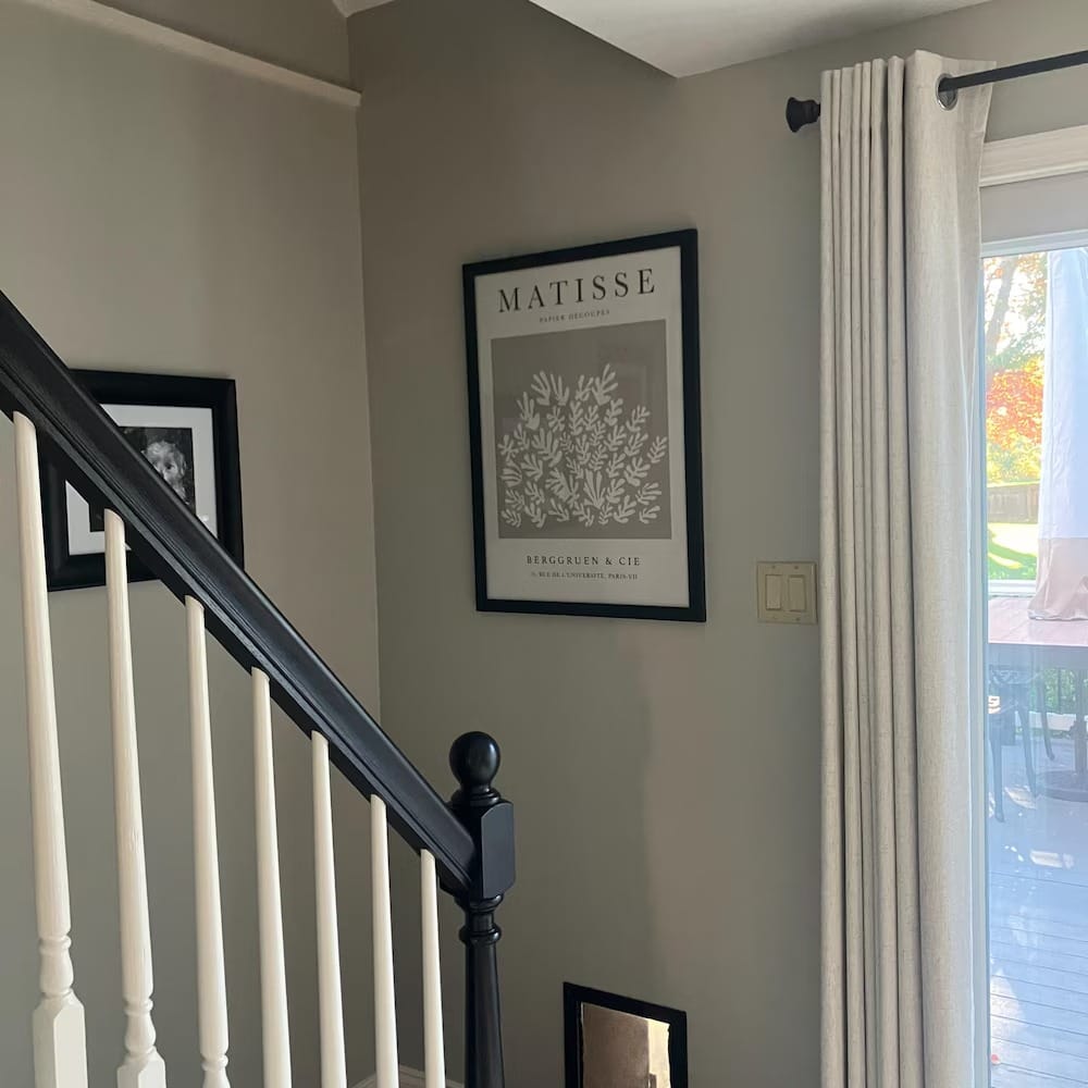 Customer photo review of Leaves by Henri Matisse