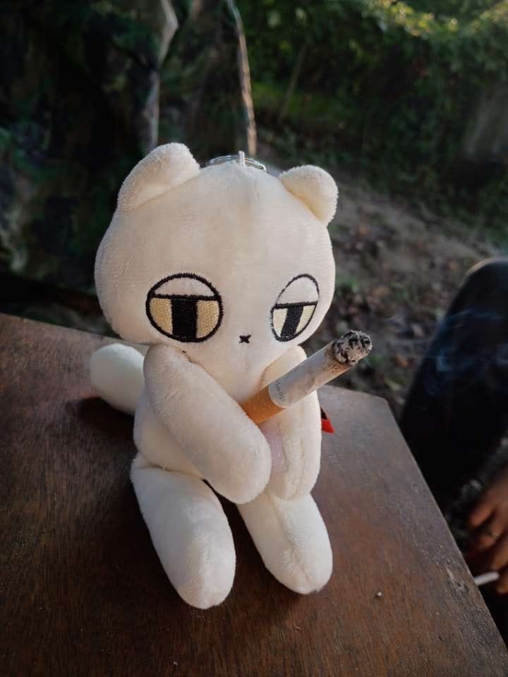 Customer photo review of MeowBro Scrunch Plush