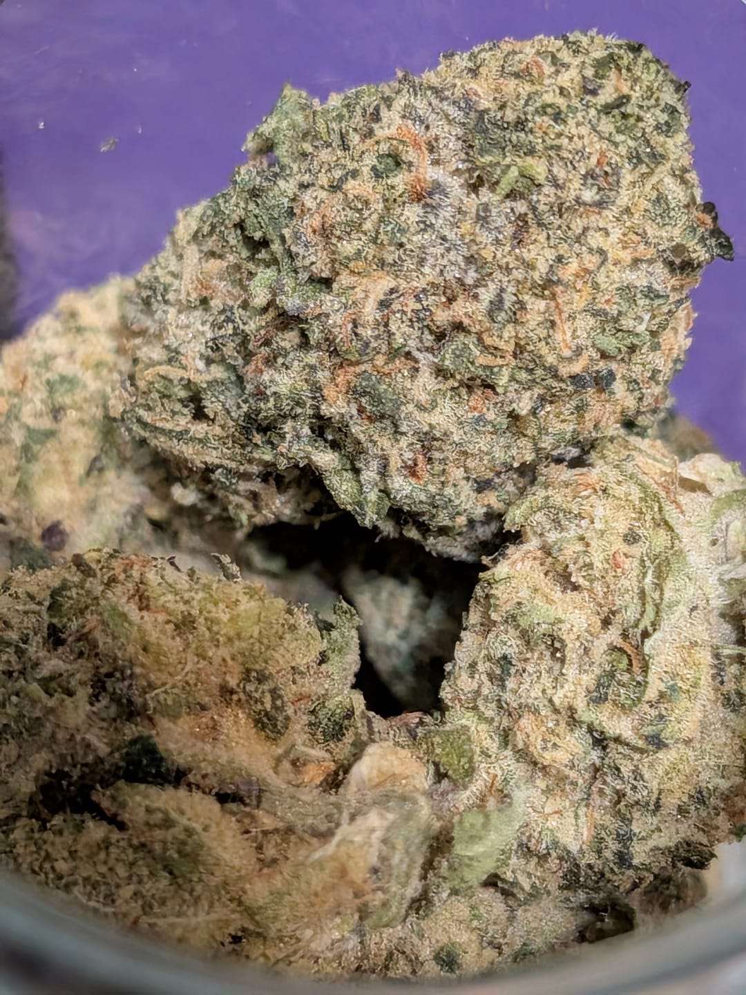 Customer photo review of Biscotti THCA Flower (Budget)